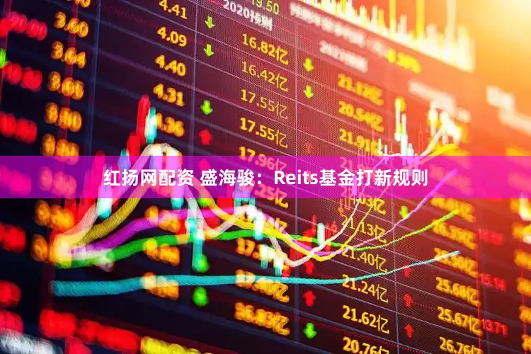 红扬网配资 盛海骏：Reits基金打新规则