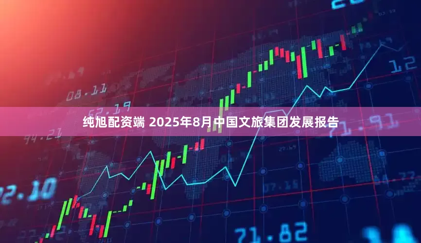 纯旭配资端 2025年8月中国文旅集团发展报告